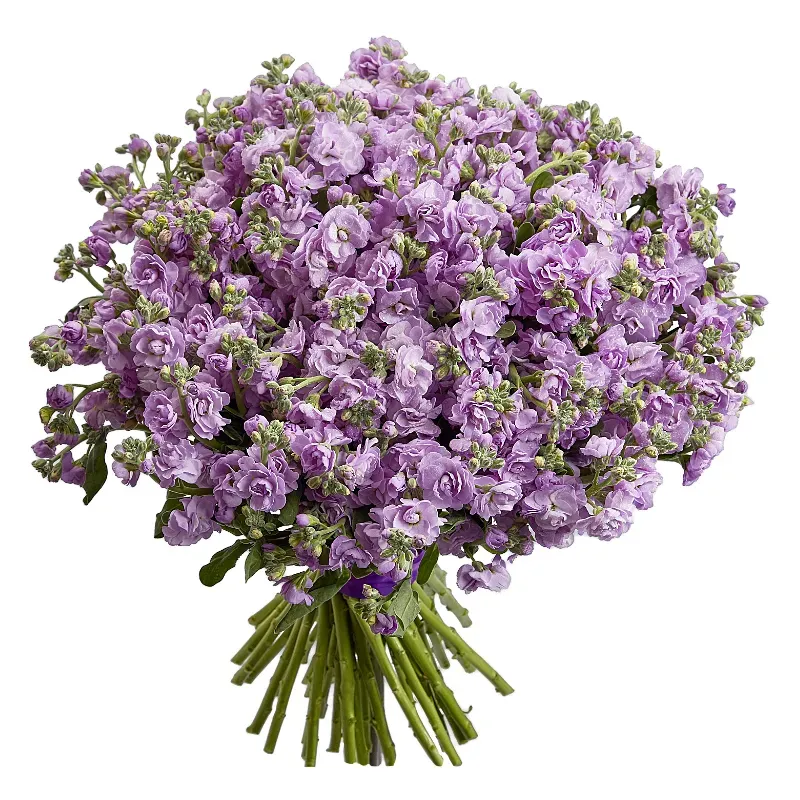 Букет Агата